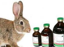 Дитрим для кроликов: как применять, от чего и каких болезней