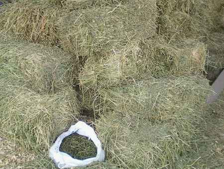 Из чего делают гранулированное сено для кроликов